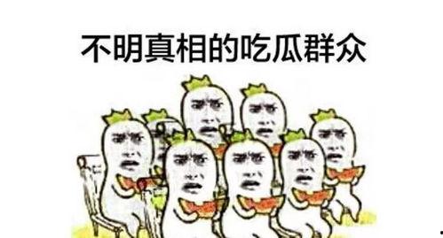 吃瓜群众纯属娱乐行为