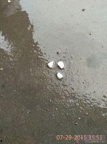 冰雹的图片,银色世界中的自然奇景